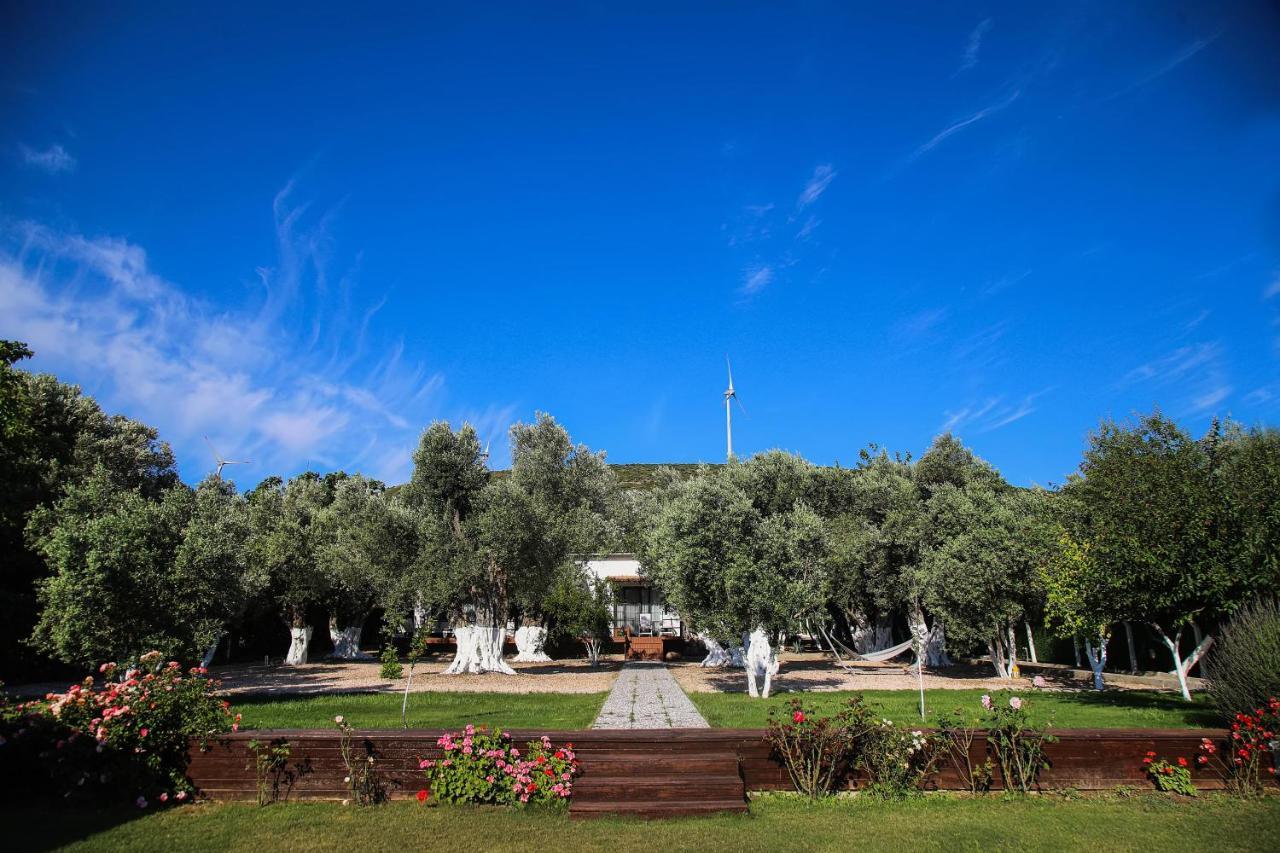 Enki Suess Alacatı Bagian luar foto